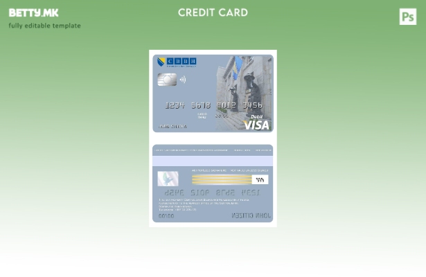 Модерен стил Шаблон за виза картичка на централната банка на Босна и Херцеговина